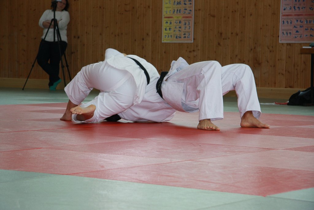 IMG-8404.jpg