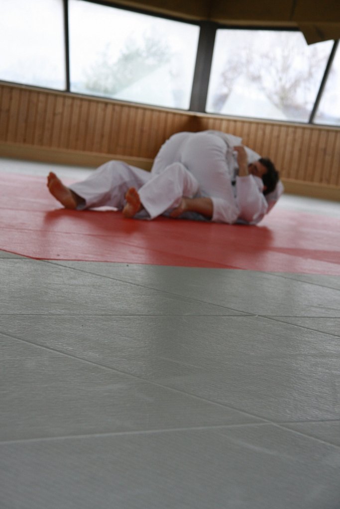 IMG-8408.jpg