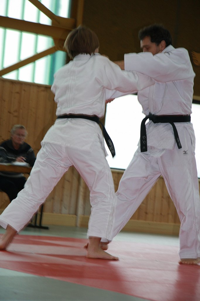 IMG-8412.jpg