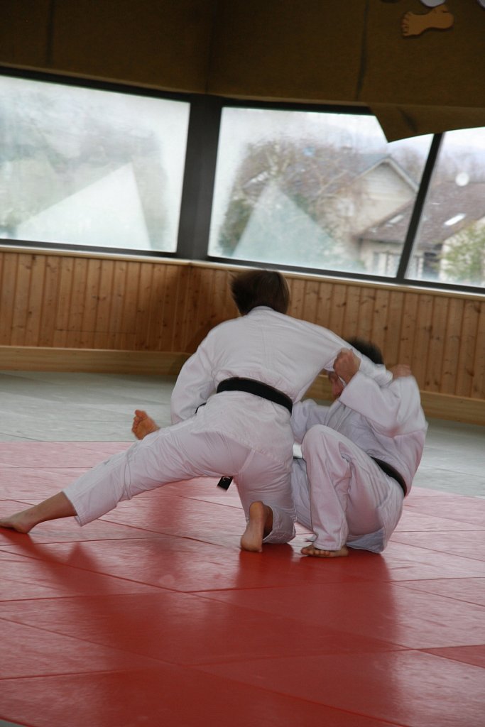 IMG-8467.jpg