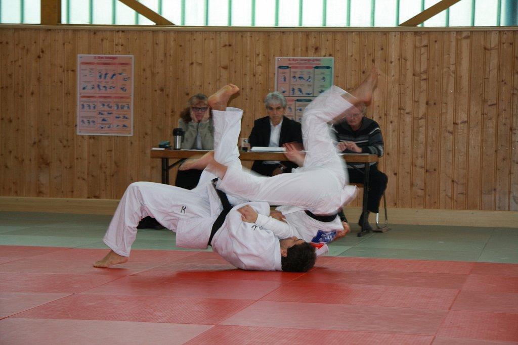 IMG-8478.jpg