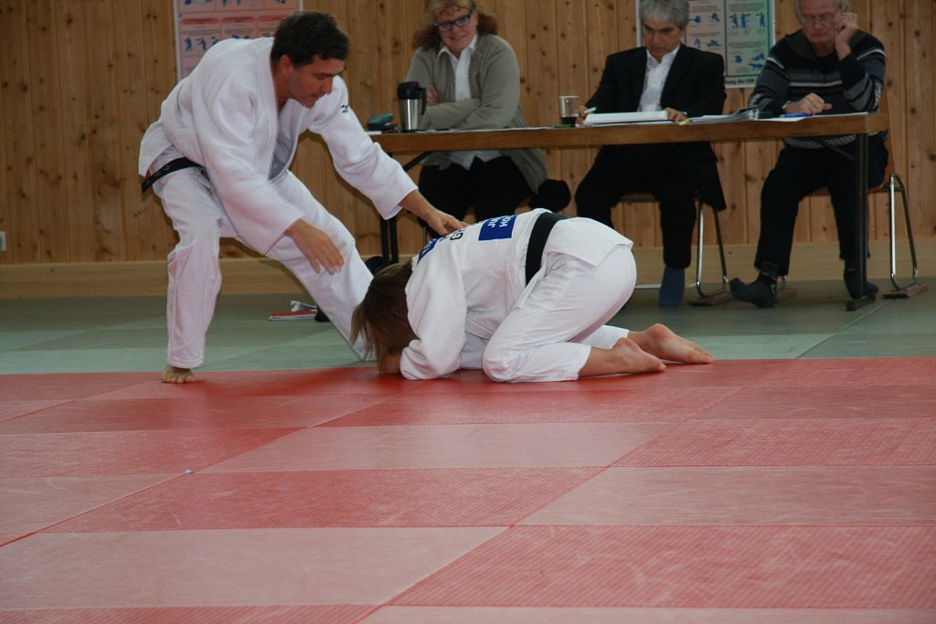 IMG-8487.jpg