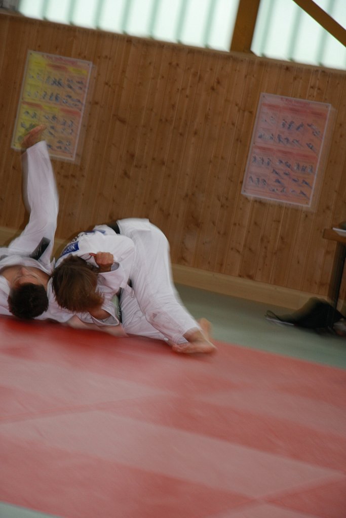 IMG-8495.jpg