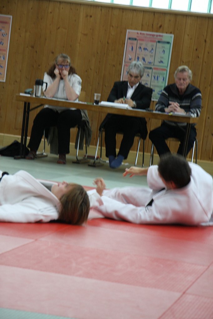 IMG-8509.jpg